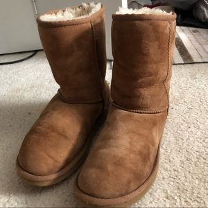 UGG AUSTRALIA classic short chestnut boots
